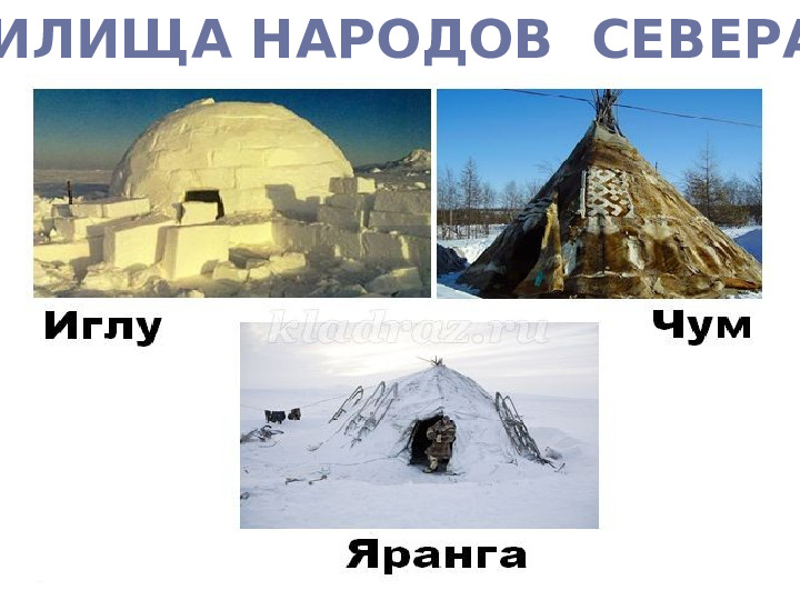 Презентация по познавательному развитию "Знакомство с Севером"