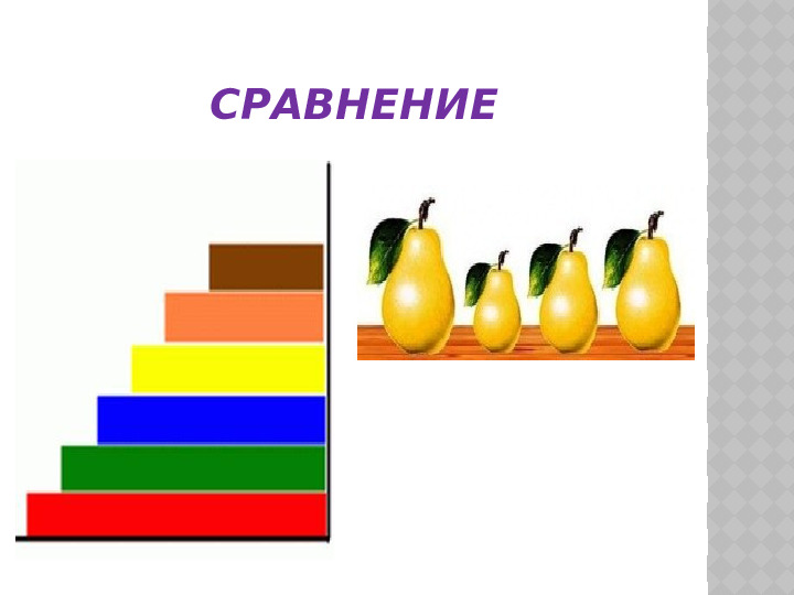 Вводное занятие "Знакомство с предметами"