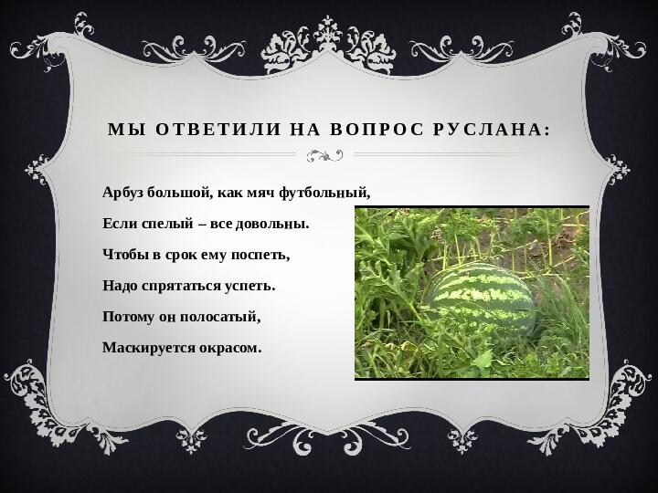 Отчет по проекту: "Почему арбуз полосатый?"