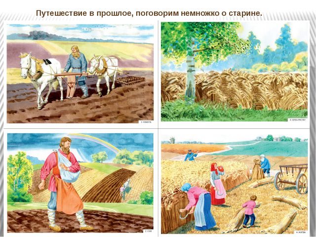 Откуда к нам на стол хлебушек пришёл. Презентация для дошкольников