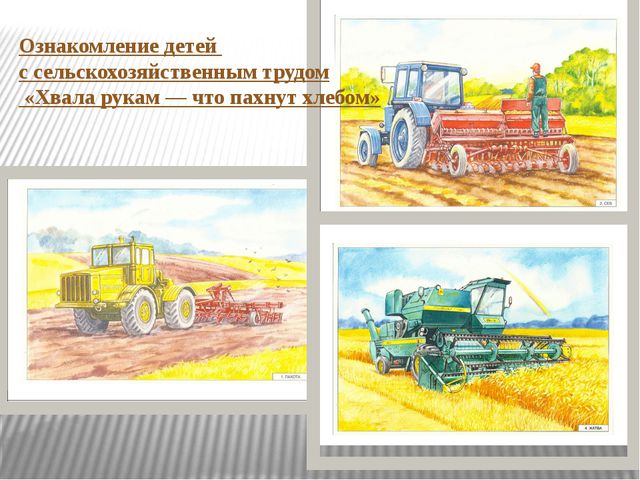 Откуда к нам на стол хлебушек пришёл. Презентация для дошкольников