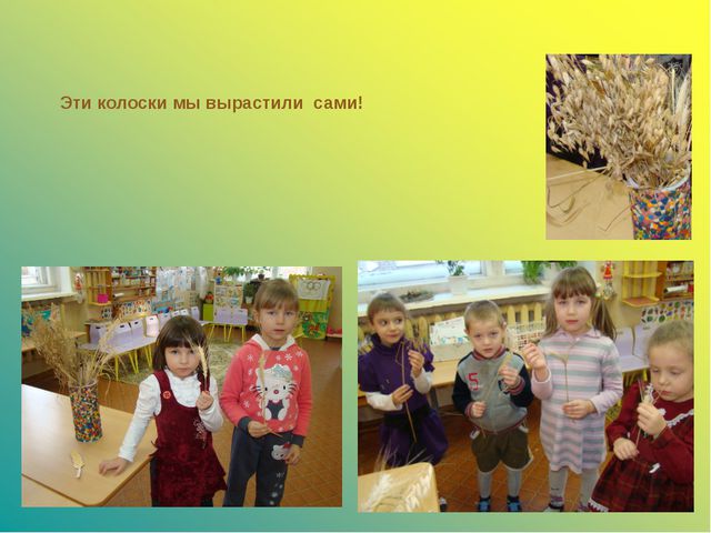 Откуда к нам на стол хлебушек пришёл. Презентация для дошкольников