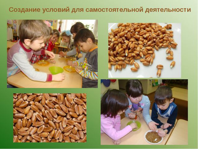 Откуда к нам на стол хлебушек пришёл. Презентация для дошкольников