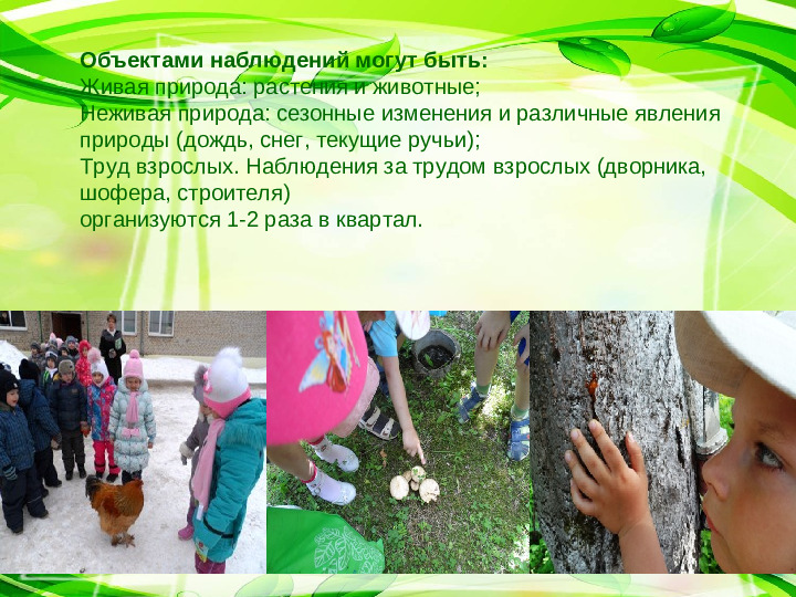 Презентация на тему :"Значение прогулки в ДОУ"