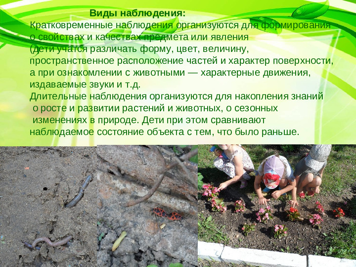 Презентация на тему :"Значение прогулки в ДОУ"