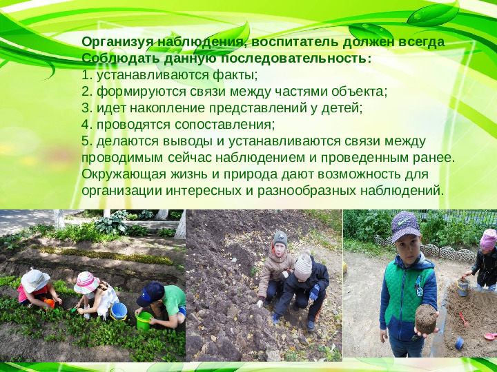 Презентация на тему :"Значение прогулки в ДОУ"