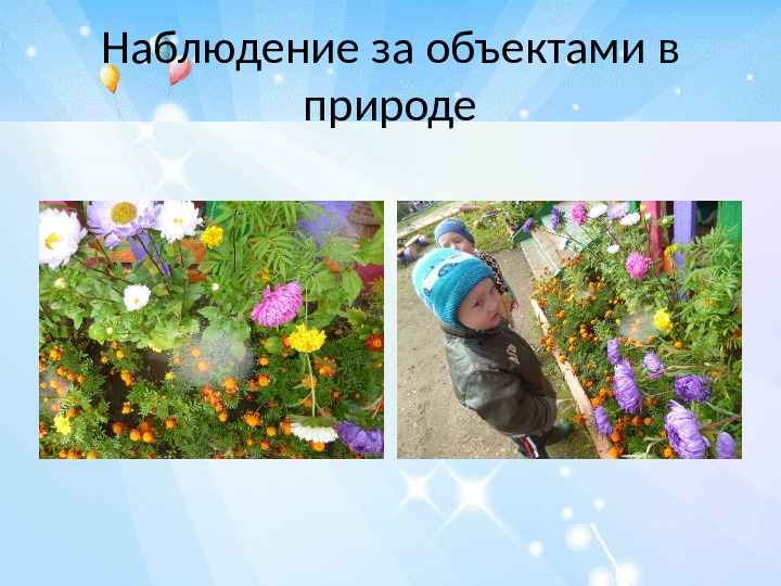 Презентация родительского собрания "Возрастные особенности детей 2-3 лет"