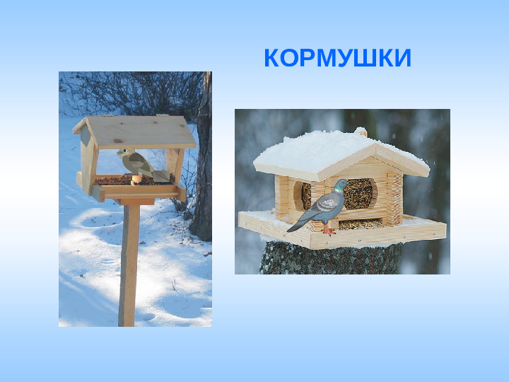 Презентация на тему "Как животные готовятся к зиме"