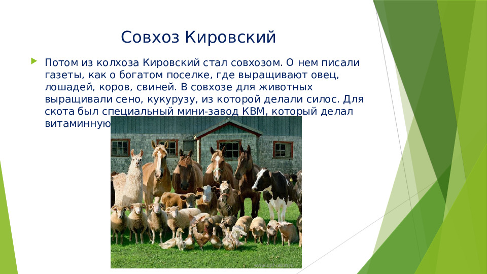 Проект "Моя деревенька - поселок Кировский"