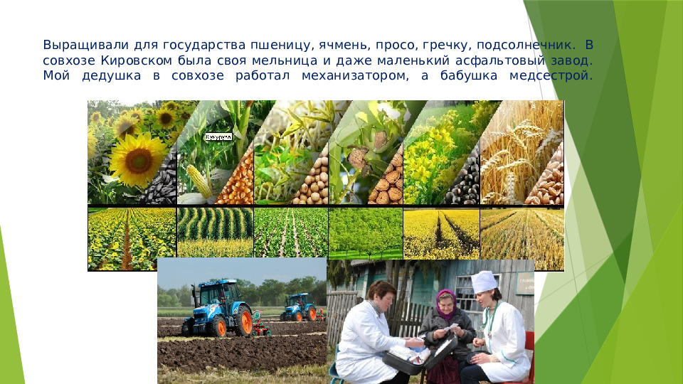 Проект "Моя деревенька - поселок Кировский"