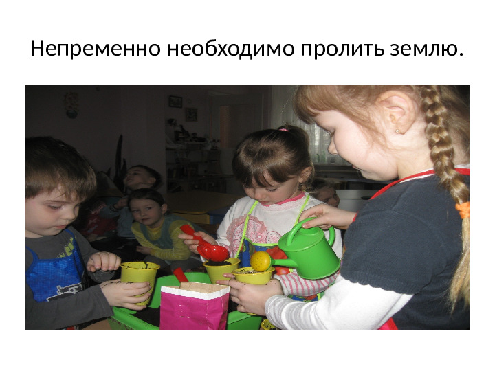 Мастер класс " Изготовление цыпленка - травянчика"