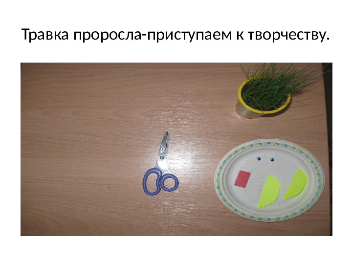 Мастер класс " Изготовление цыпленка - травянчика"