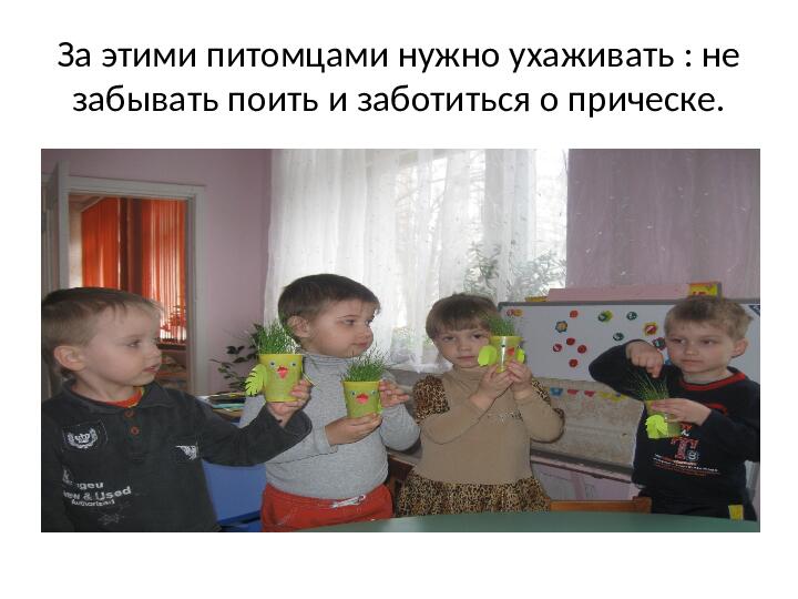 Мастер класс " Изготовление цыпленка - травянчика"