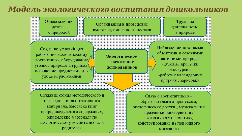 Презентация "Экологическое воспитание через проектный метод"