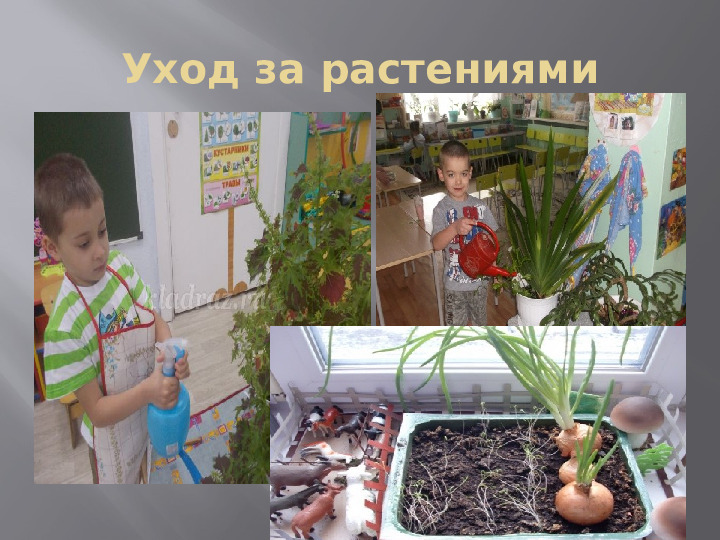 Презентация " Коллективный труд в природе"