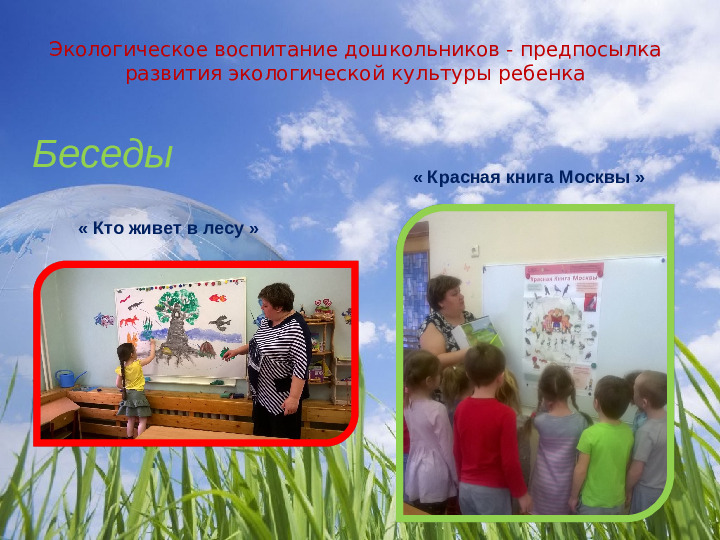 Проект " Береги природу леса"