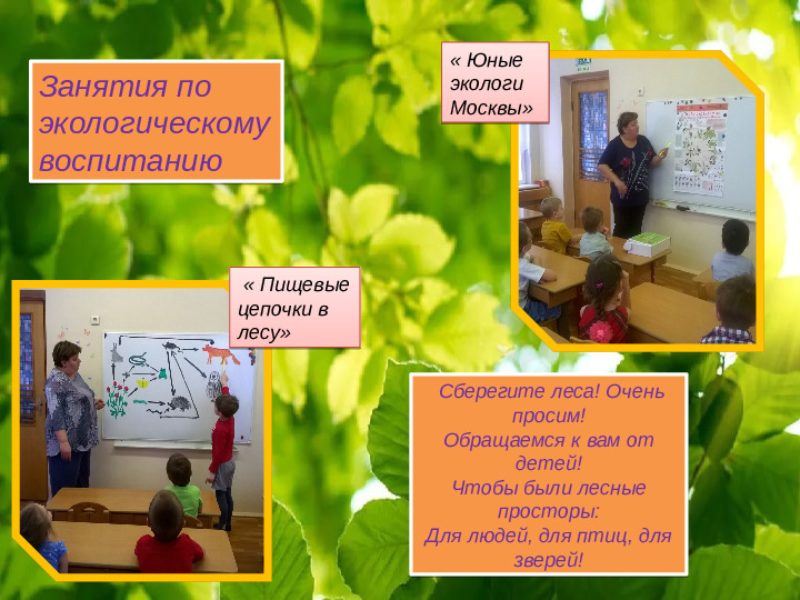 Проект " Береги природу леса"