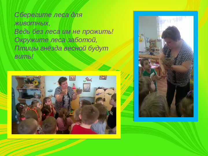 Проект " Береги природу леса"