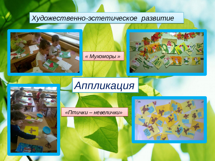 Проект " Береги природу леса"