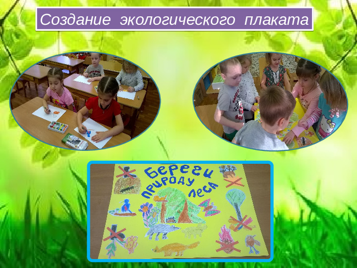 Проект " Береги природу леса"