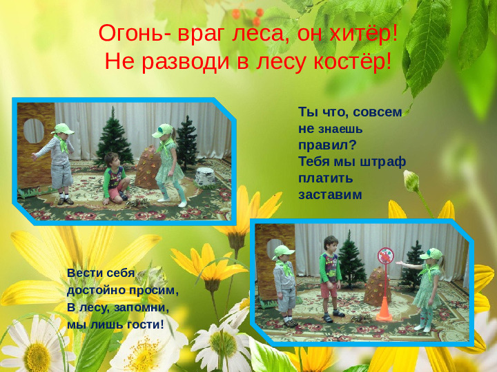 Проект " Береги природу леса"