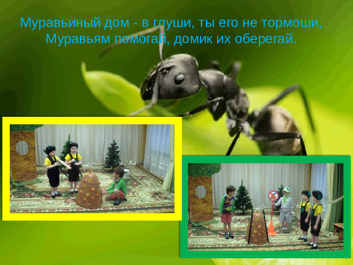 Проект " Береги природу леса"