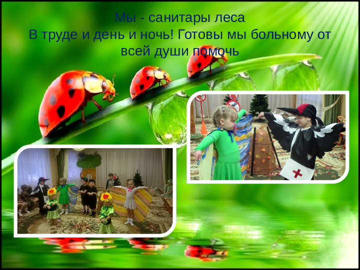 Проект " Береги природу леса"