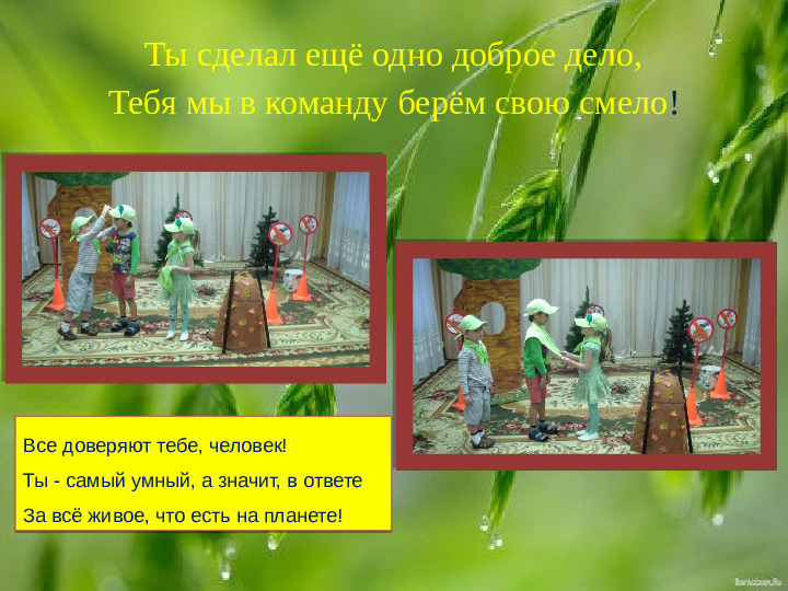 Проект " Береги природу леса"