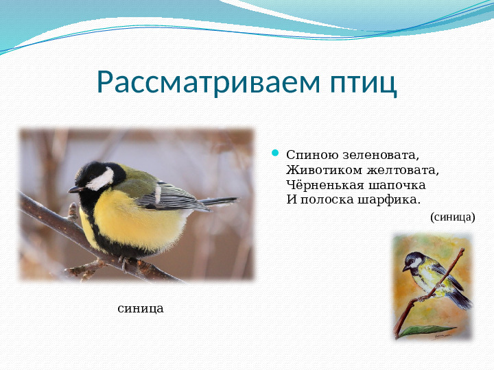 Презентация для детей "Зимующие птицы"