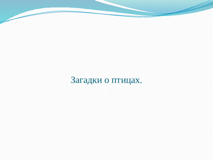 Презентация занятия "Такие разные птицы".
