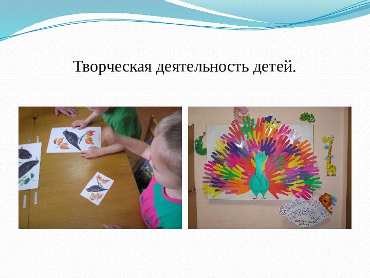 Презентация занятия "Такие разные птицы".