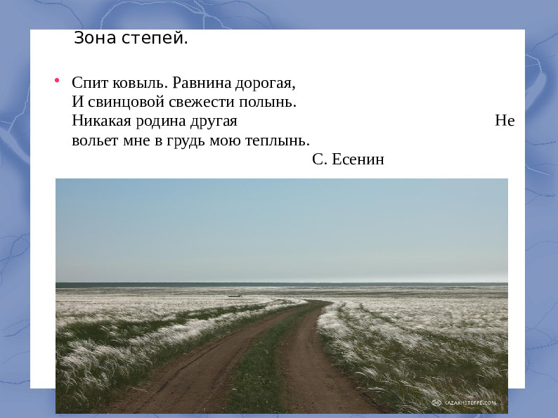 Засушливые зоны умеренного пояса.