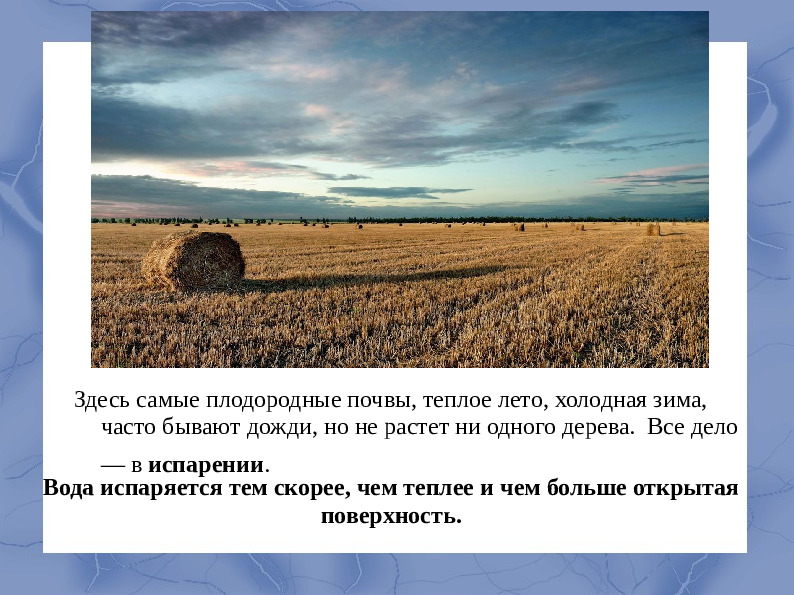 Засушливые зоны умеренного пояса.