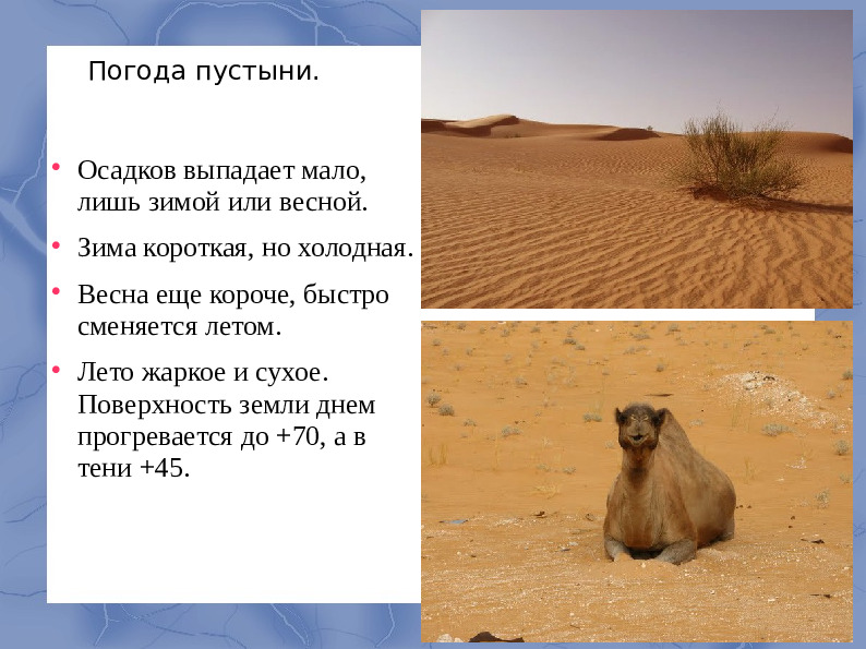 Засушливые зоны умеренного пояса.