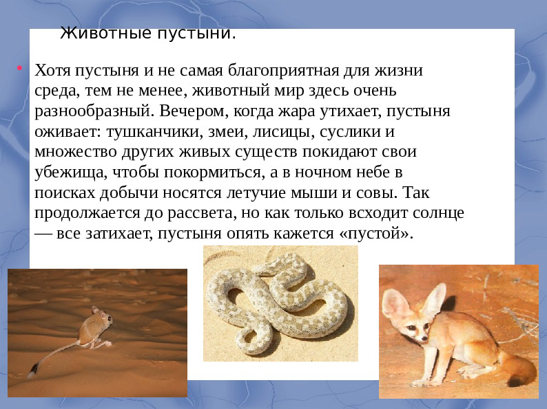 Засушливые зоны умеренного пояса.