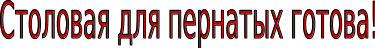 Shape7