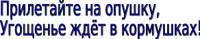 Shape8
