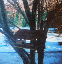 Picture 48