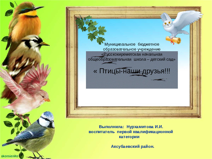 Проeкт: "Птицы наши друзья"