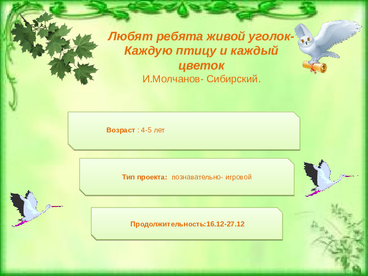 Проeкт: "Птицы наши друзья"