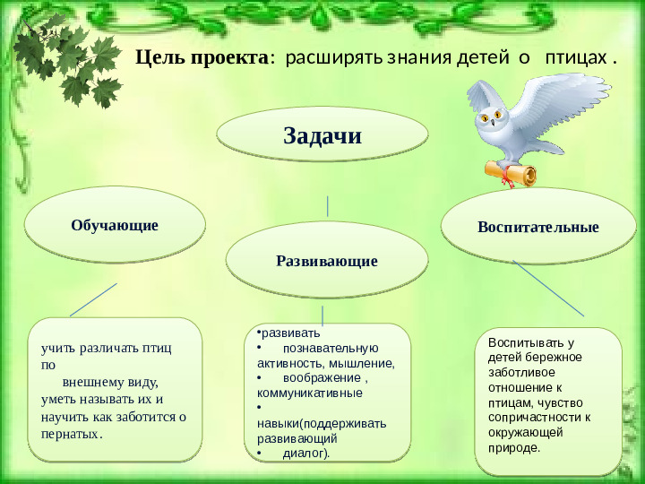 Проeкт: "Птицы наши друзья"