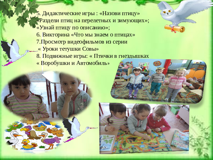 Проeкт: "Птицы наши друзья"
