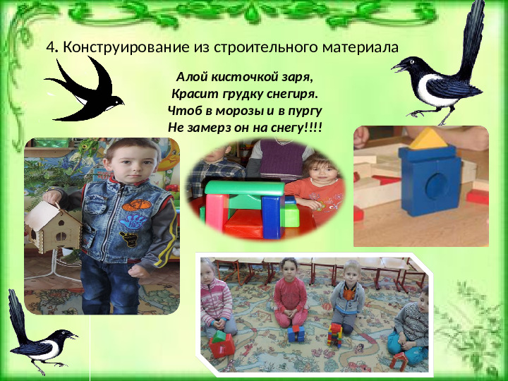 Проeкт: "Птицы наши друзья"