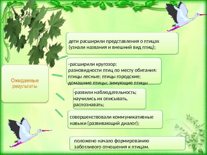 Проeкт: "Птицы наши друзья"