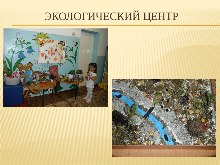 Презентация "Предметно - развивающая среда"