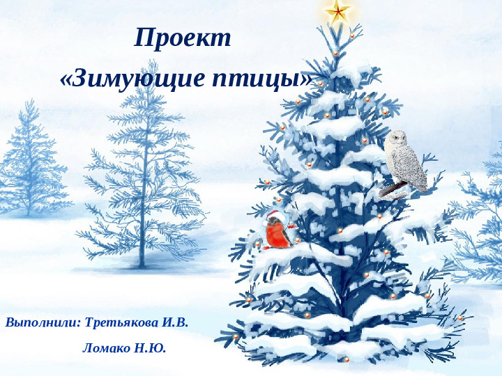 Презентация проекта "Зимующие птицы"