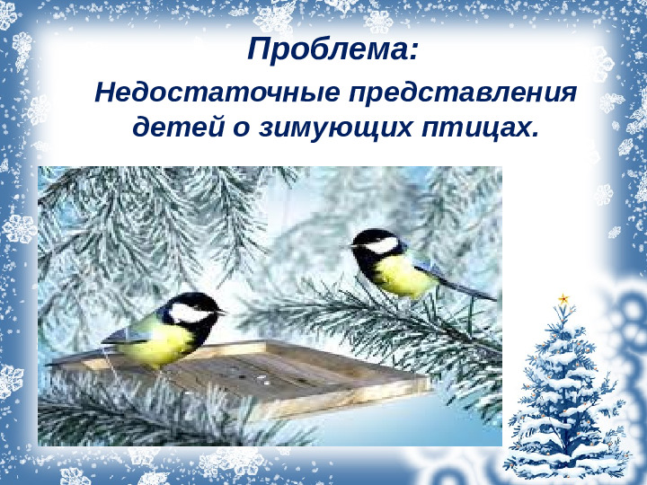 Презентация проекта "Зимующие птицы"
