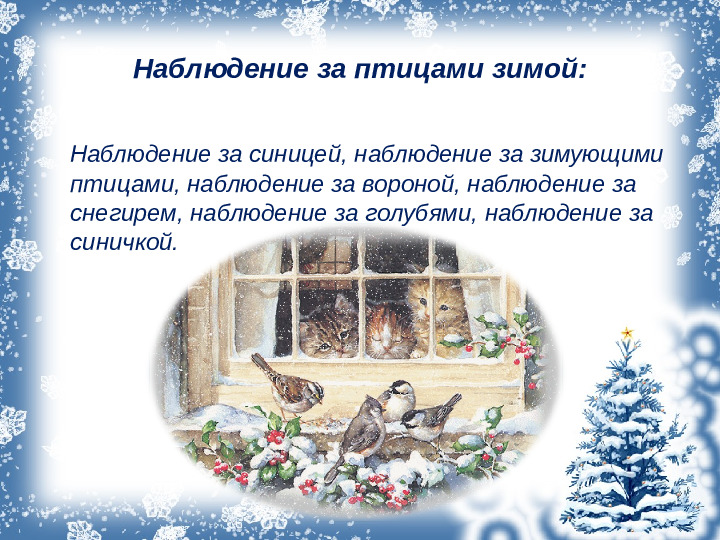 Презентация проекта "Зимующие птицы"