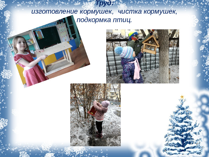 Презентация проекта "Зимующие птицы"