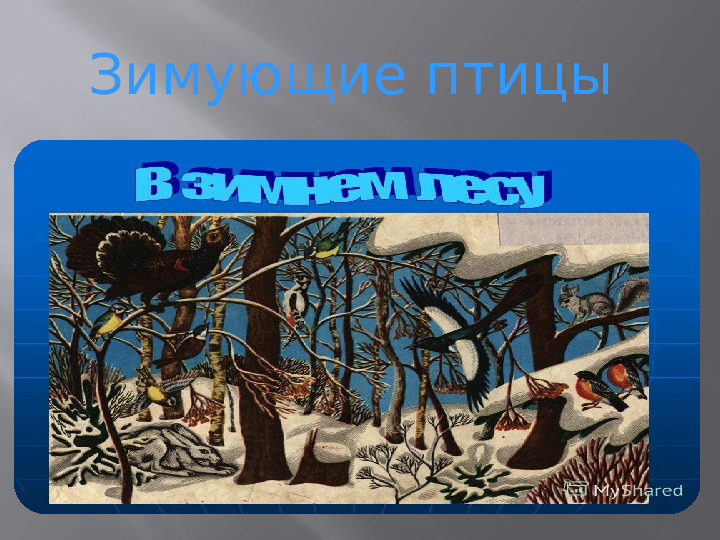 Презентация. "Зимующие птицы Бурятии"